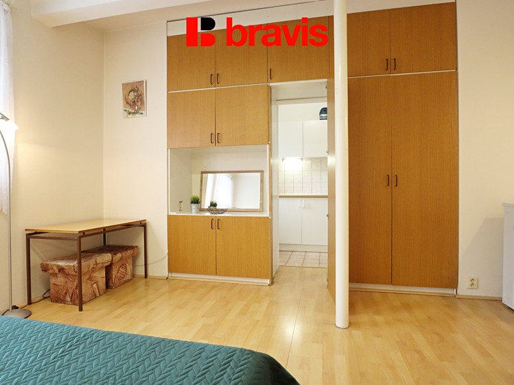 Pronájem bytu 1+1 30 m² - foto 7