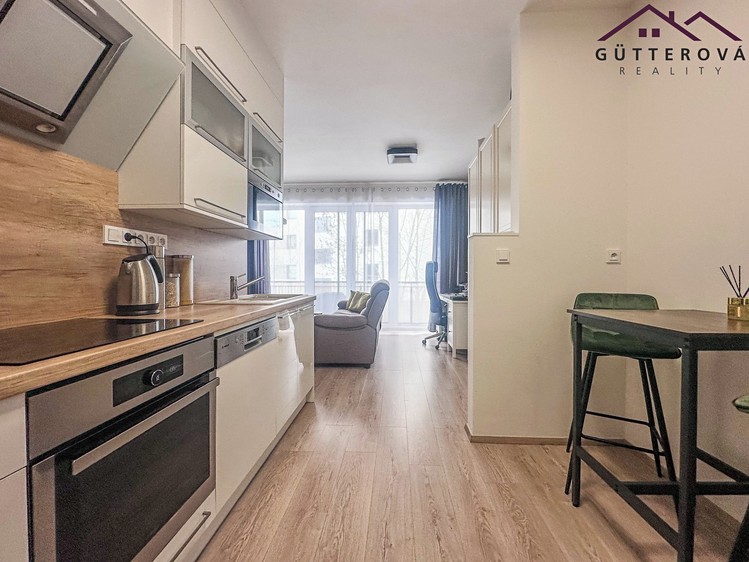 Pronájem bytu 1+kk 39 m² - foto 4