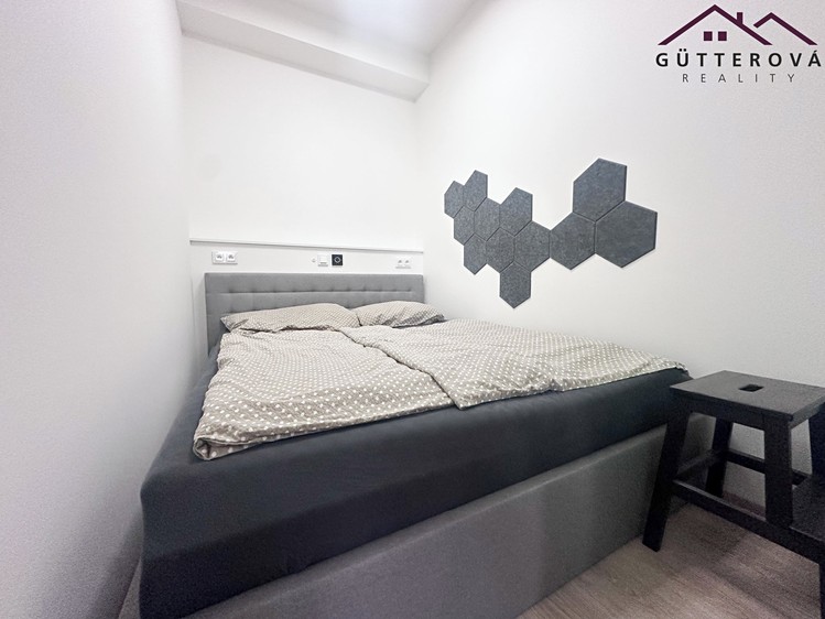 Pronájem bytu 1+kk 39 m² - foto 3