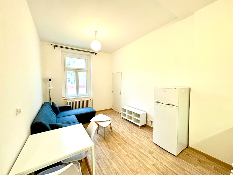 Pronájem bytu 2+kk 33 m² (Jednopodlažní) - foto 7
