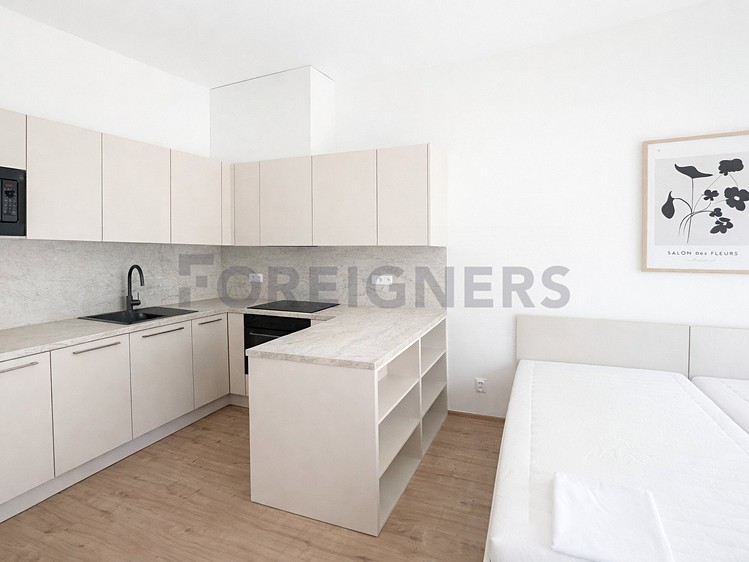 Pronájem bytu 1+kk 38 m² - foto 4