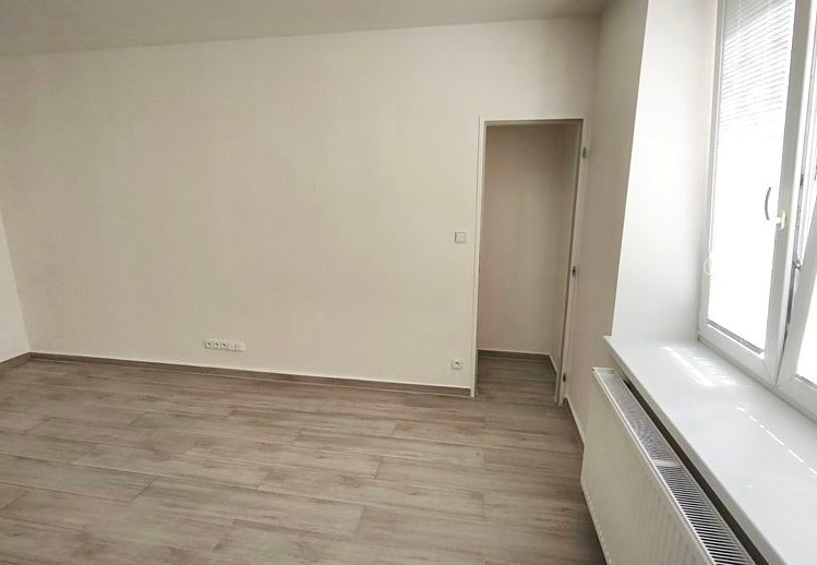 Pronájem bytu 1+1 40 m² - foto 4