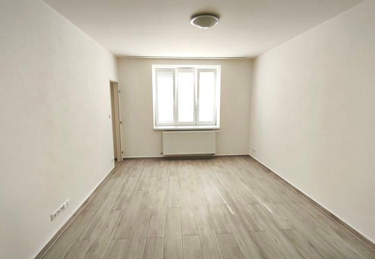 Pronájem bytu 1+1 40 m² - foto 1