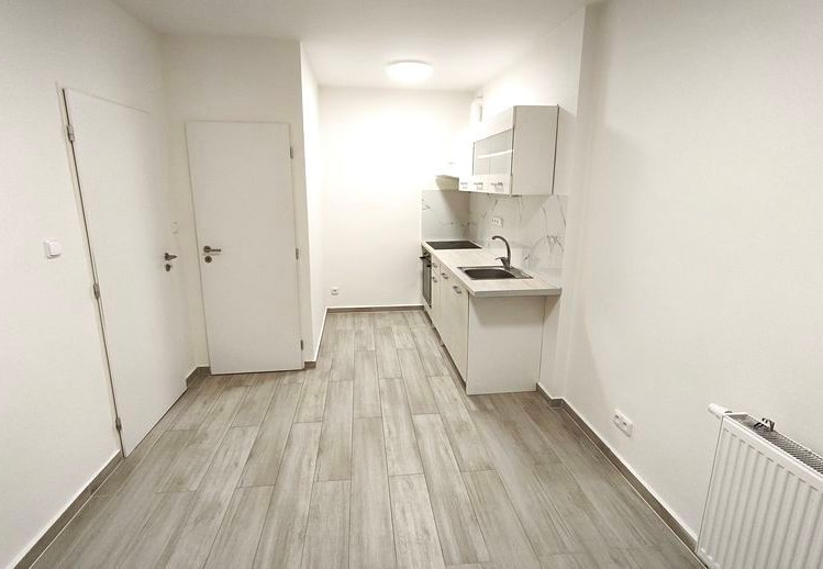 Pronájem bytu 1+1 40 m² - foto 2