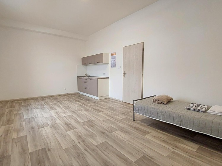 Pronájem bytu 1+kk 33 m² - foto 4