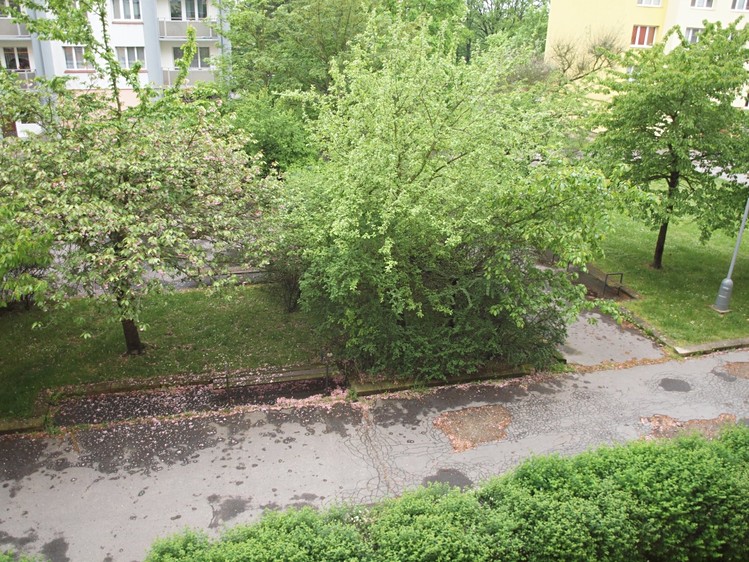 Pronájem bytu 2+kk 47 m² - foto 5