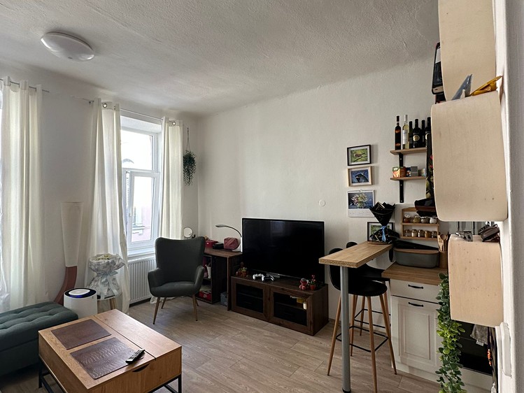 Pronájem bytu 2+kk 34 m² - foto 7
