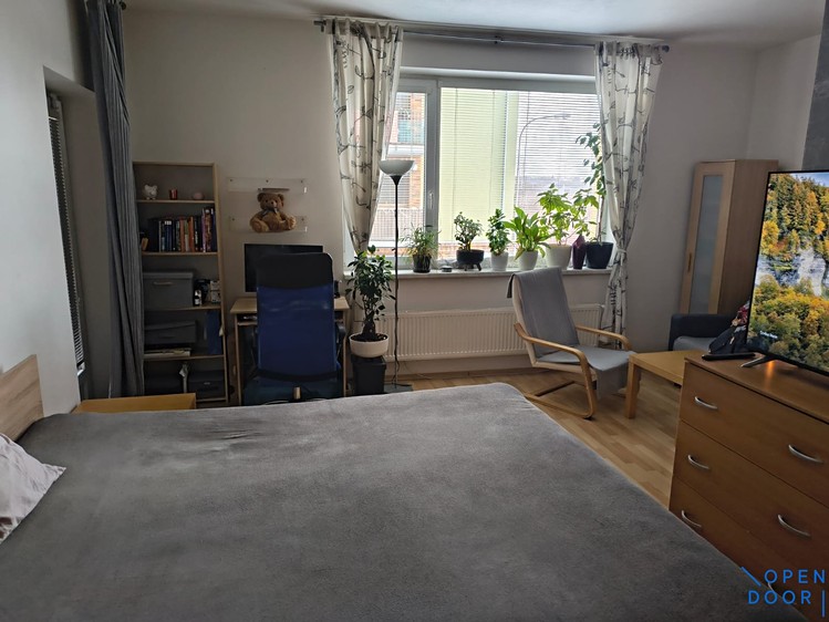 Pronájem bytu 1+kk 47 m² - foto 7