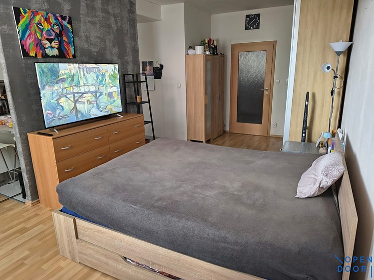 Pronájem bytu 1+kk 47 m² - foto 8