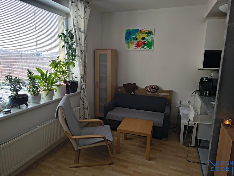 Pronájem bytu 1+kk 47 m² - foto 5