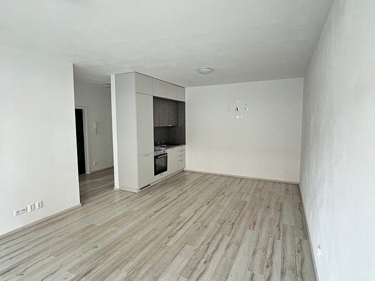 Pronájem bytu 2+kk 53 m² (Jednopodlažní) - foto 2