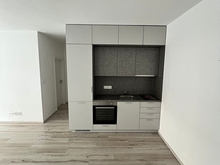 Pronájem bytu 2+kk 53 m² (Jednopodlažní) - foto 6