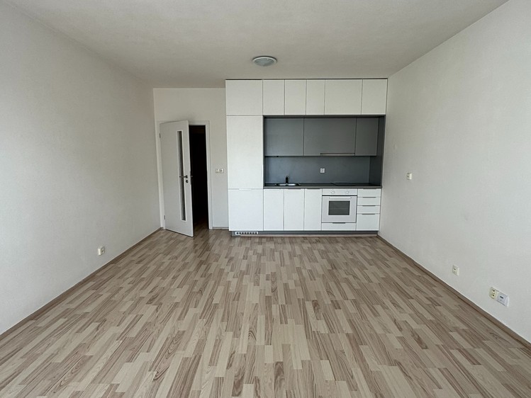 Pronájem bytu 1+kk 35 m² - foto 3