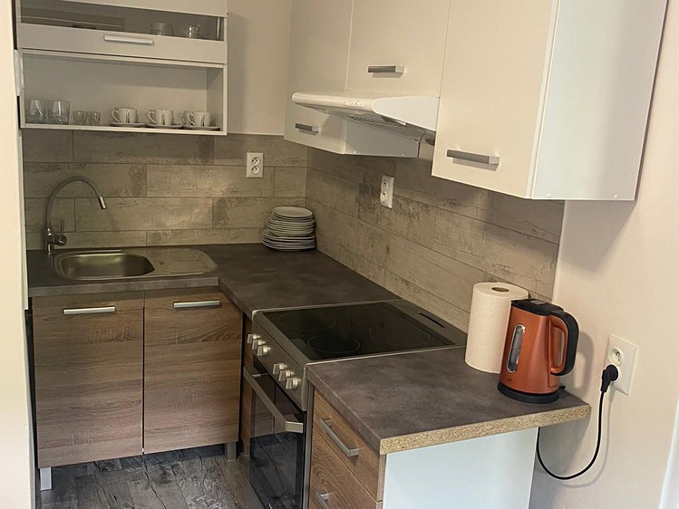 Pronájem bytu 1+1 38 m² - foto 3