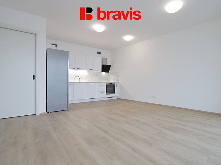 Pronájem bytu 2+kk 55 m² - foto 8