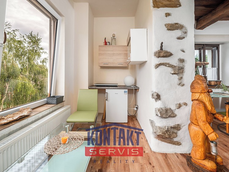 Pronájem bytu 1+kk 50 m² (Jednopodlažní) - foto 2