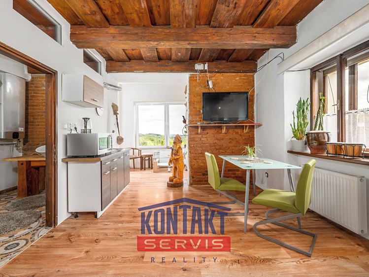 Pronájem bytu 1+kk 50 m² (Jednopodlažní) - foto 1