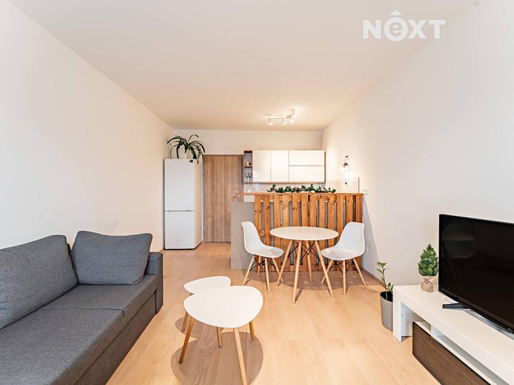 Pronájem bytu 1+kk 36 m² (Jednopodlažní) - foto 2