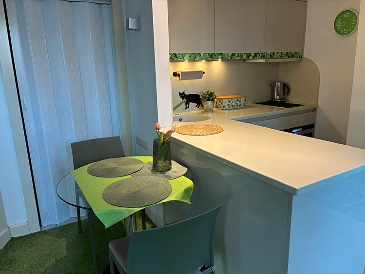 Pronájem bytu 1+kk 30 m² - foto 6