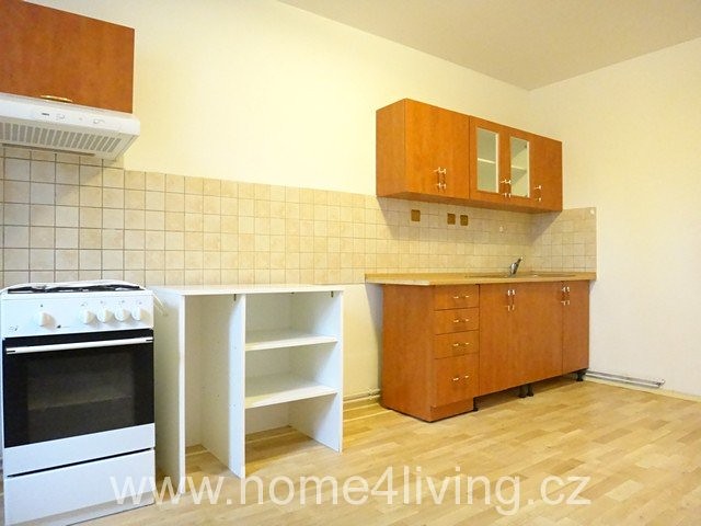 Pronájem bytu 1+1 70 m² - foto 6