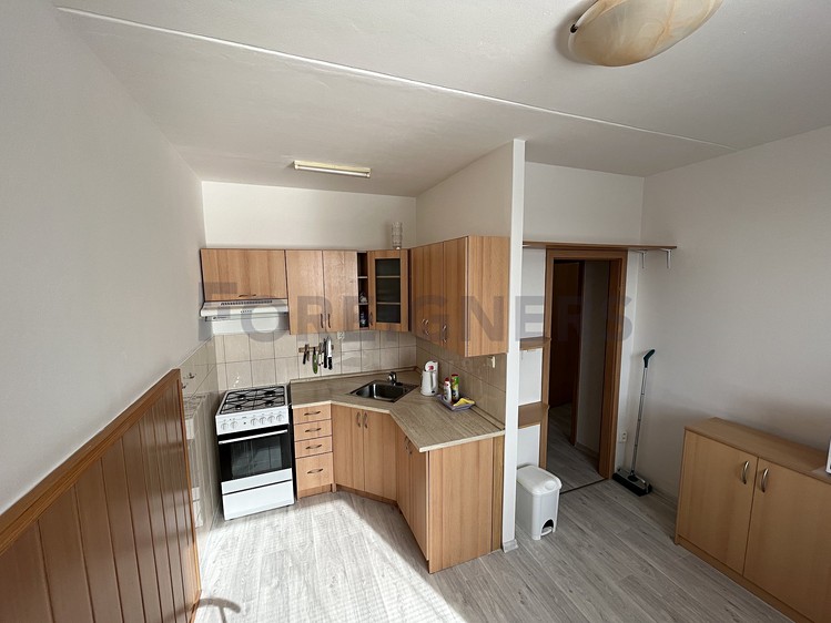 Pronájem bytu 1+1 47 m² - foto 1