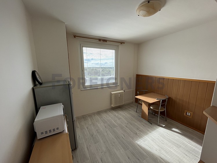 Pronájem bytu 1+1 47 m² - foto 2