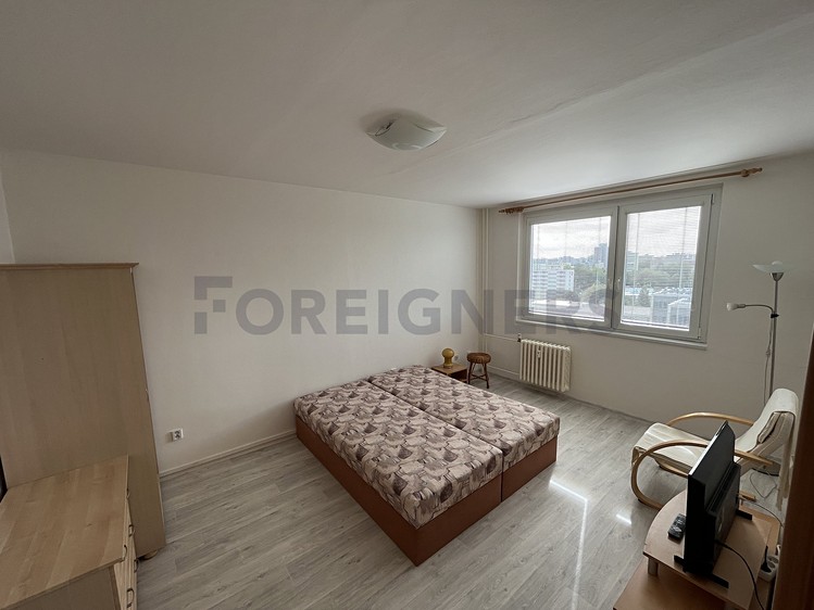 Pronájem bytu 1+1 47 m² - foto 4