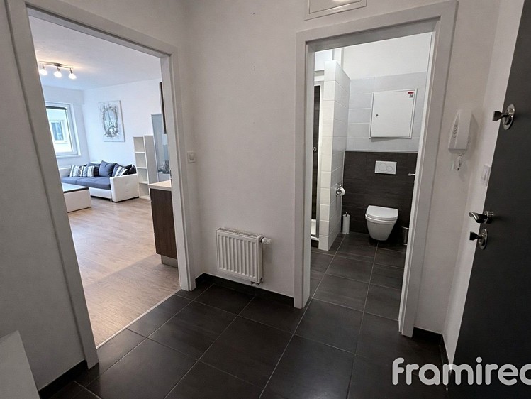 Pronájem bytu 2+kk 57 m² - foto 8