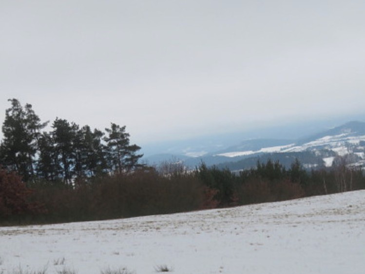 Dražba rodinného domu 300 m², pozemek 16 204 m² - foto 4