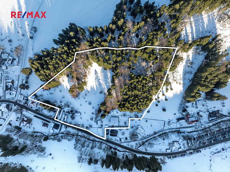 Prodej rodinného domu 600 m², pozemek 24 773 m² - foto 4