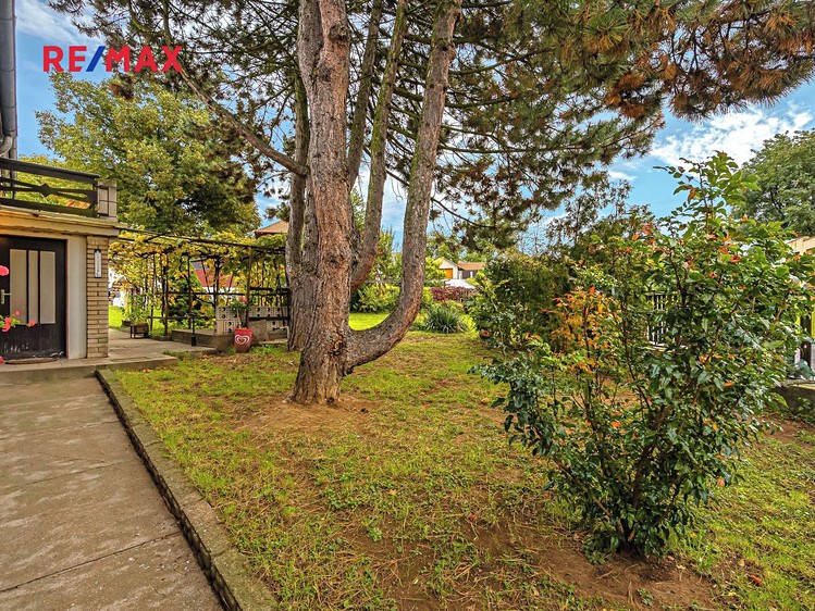 Prodej rodinného domu 307 m², pozemek 698 m² - foto 4