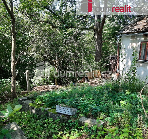 Prodej rodinného domu 115 m², pozemek 5 544 m² - foto 7
