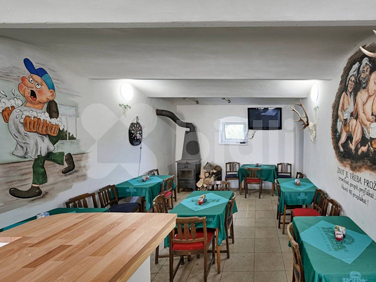 Prodej rodinného domu 490 m², pozemek 2 332 m² - foto 2