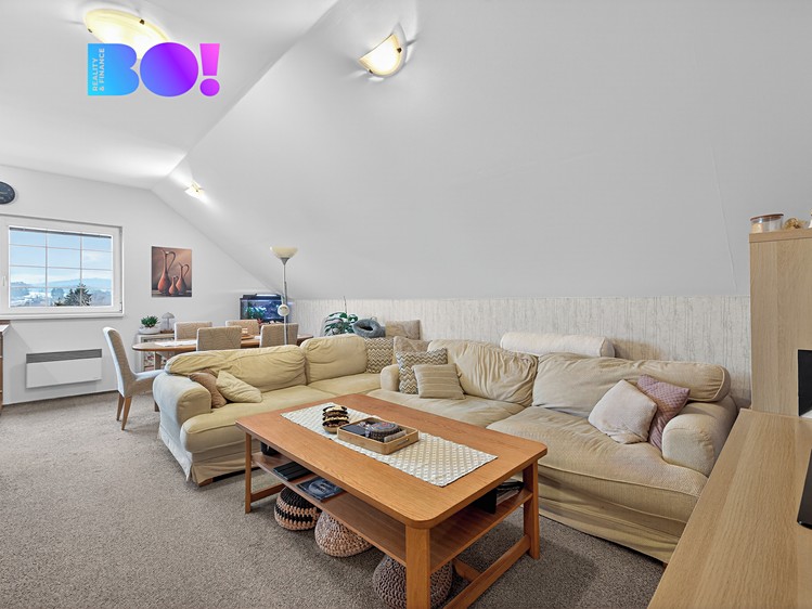 Prodej rodinného domu 280 m², pozemek 446 m² - foto 5