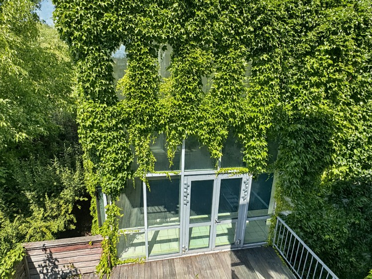 Prodej vily 986 m², pozemek 1 955 m² - foto 3