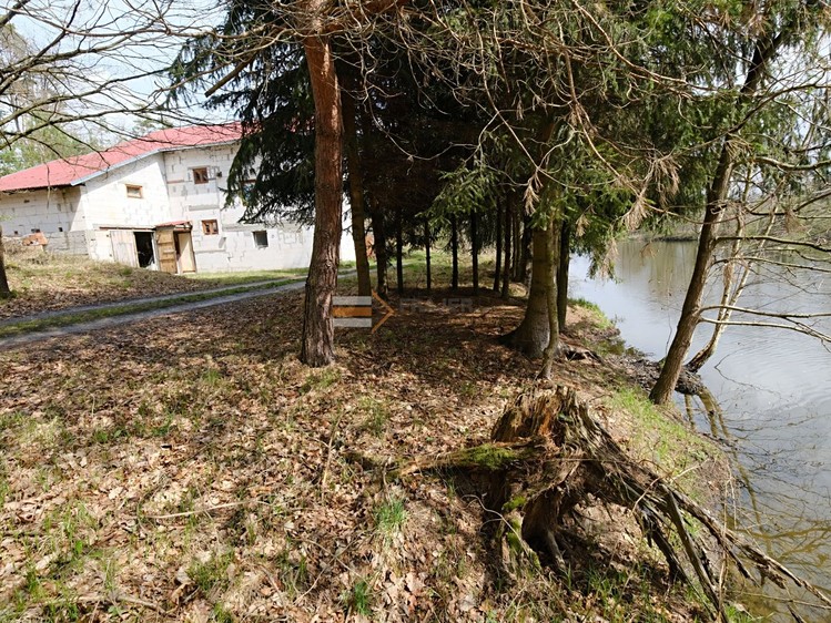Prodej rodinného domu 250 m², pozemek 1 054 m² - foto 3