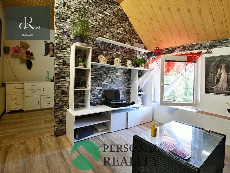 Prodej rodinného domu 580 m², pozemek 3 738 m² - foto 6