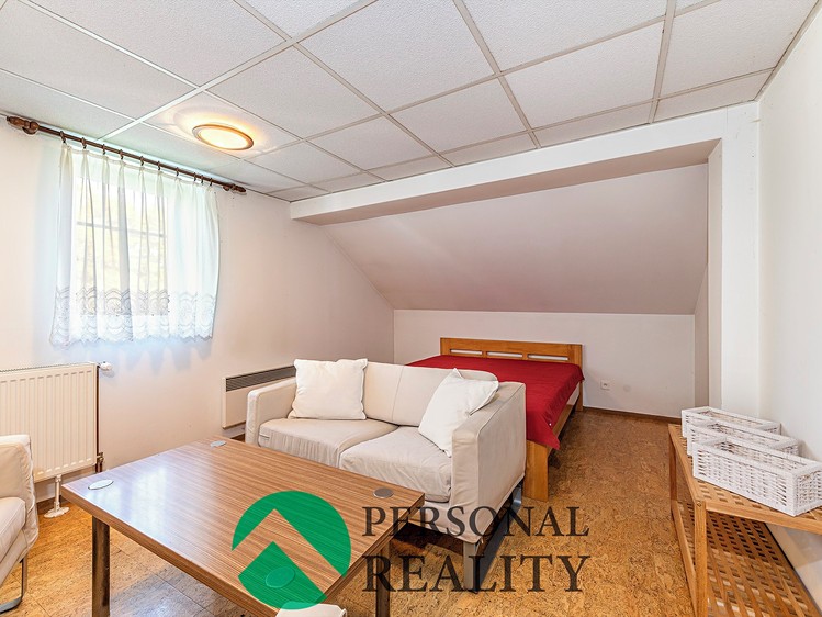Prodej rodinného domu 460 m², pozemek 2 975 m² - foto 7