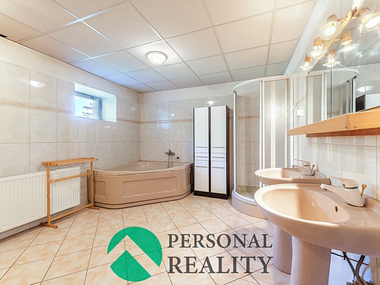 Prodej rodinného domu 460 m², pozemek 2 975 m² - foto 6