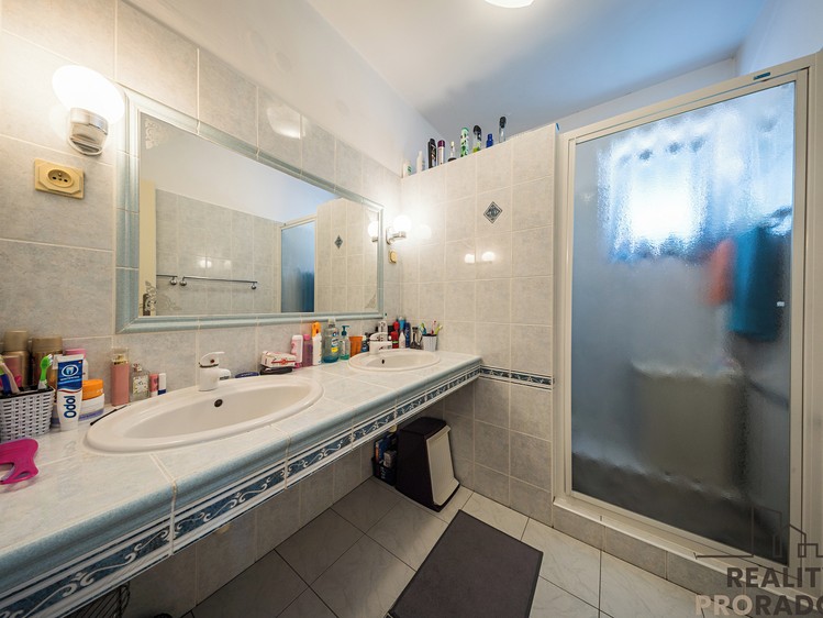 Prodej rodinného domu 420 m², pozemek 753 m² - foto 7