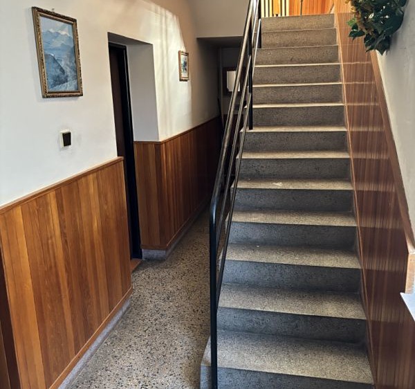 Prodej rodinného domu 300 m², pozemek 794 m² - foto 3