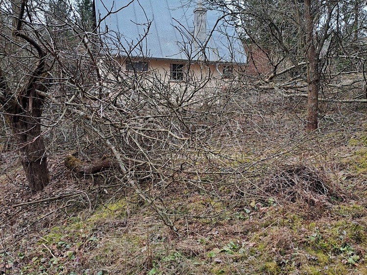 Prodej rodinného domu 55 m², pozemek 1 003 m² - foto 4