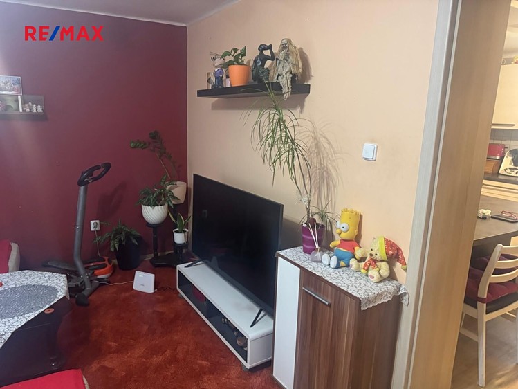 Prodej  rodinného domu 450 m², pozemek 1 140 m² - foto 8