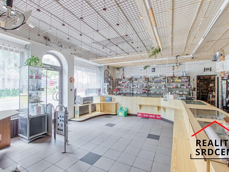 Prodej rodinného domu 600 m², pozemek 1 659 m² - foto 6