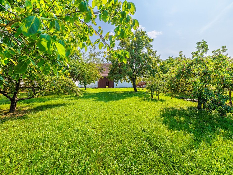 Prodej zemědělské usedlosti 138 m², pozemek 2 255 m² - foto 3