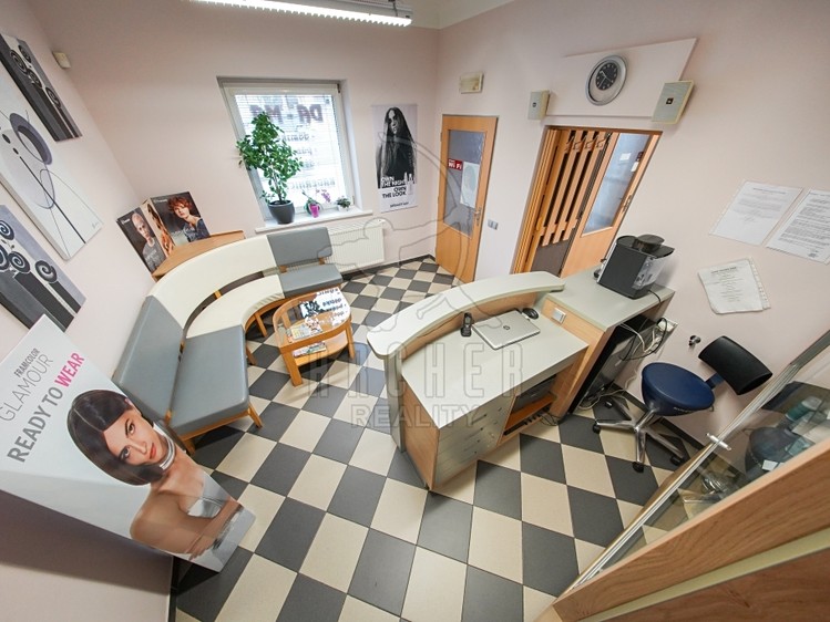 Prodej rodinného domu 324 m², pozemek 399 m² - foto 4