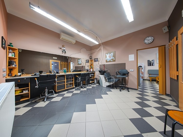 Prodej rodinného domu 324 m², pozemek 399 m² - foto 3