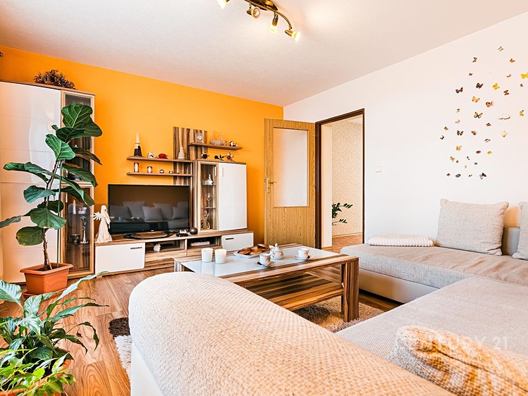 Prodej rodinného domu 197 m², pozemek 319 m² - foto 2
