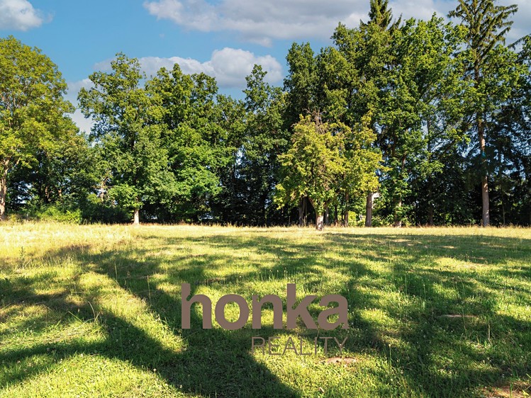 Prodej rodinného domu 280 m², pozemek 6 153 m² - foto 7