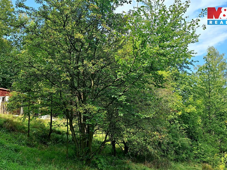 Prodej stavebního pozemku 10 875 m² - foto 3